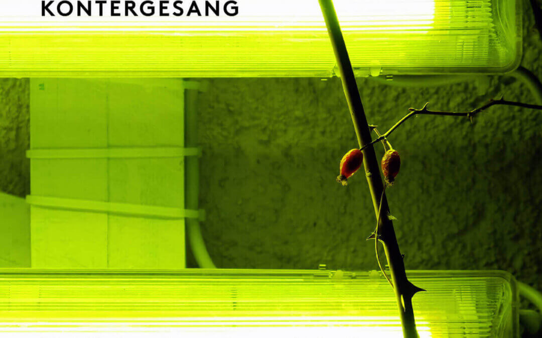 Kontergesang