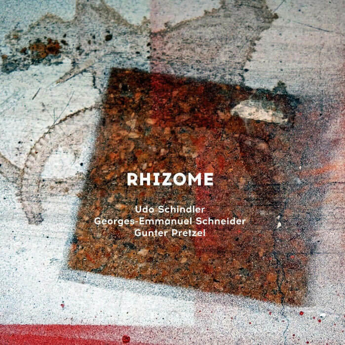 Cover Rhizome