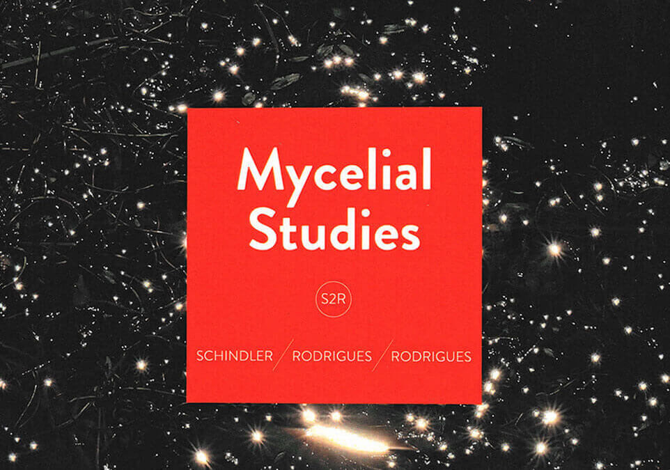S2R – Mycelial Studies