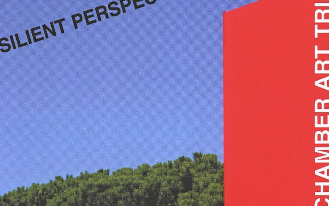 Resilient Perspectives