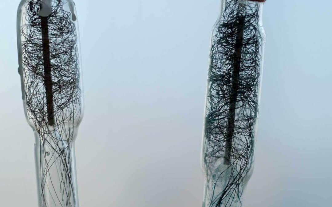 Inflorescence Structures