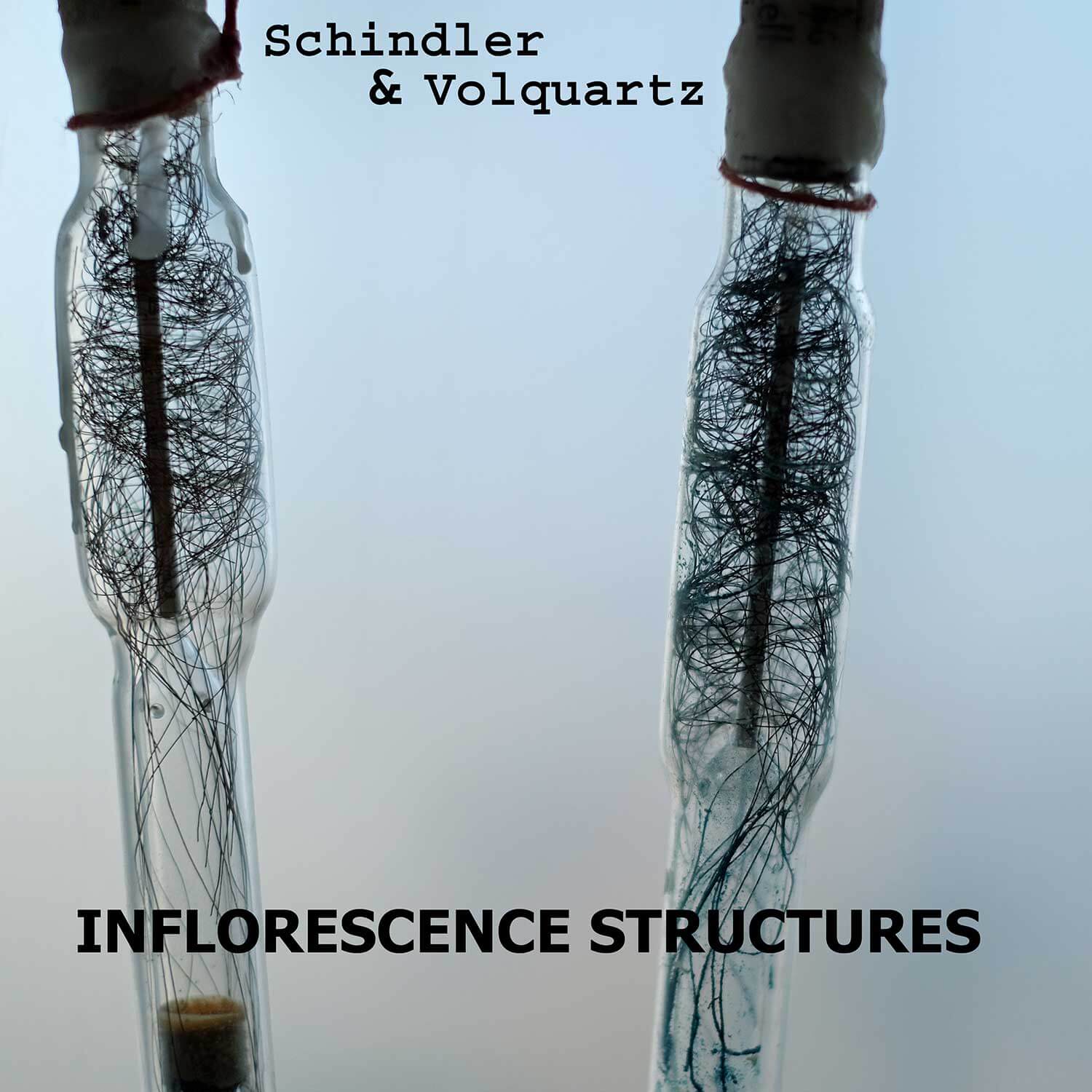 Cover Inflorescence Structures
