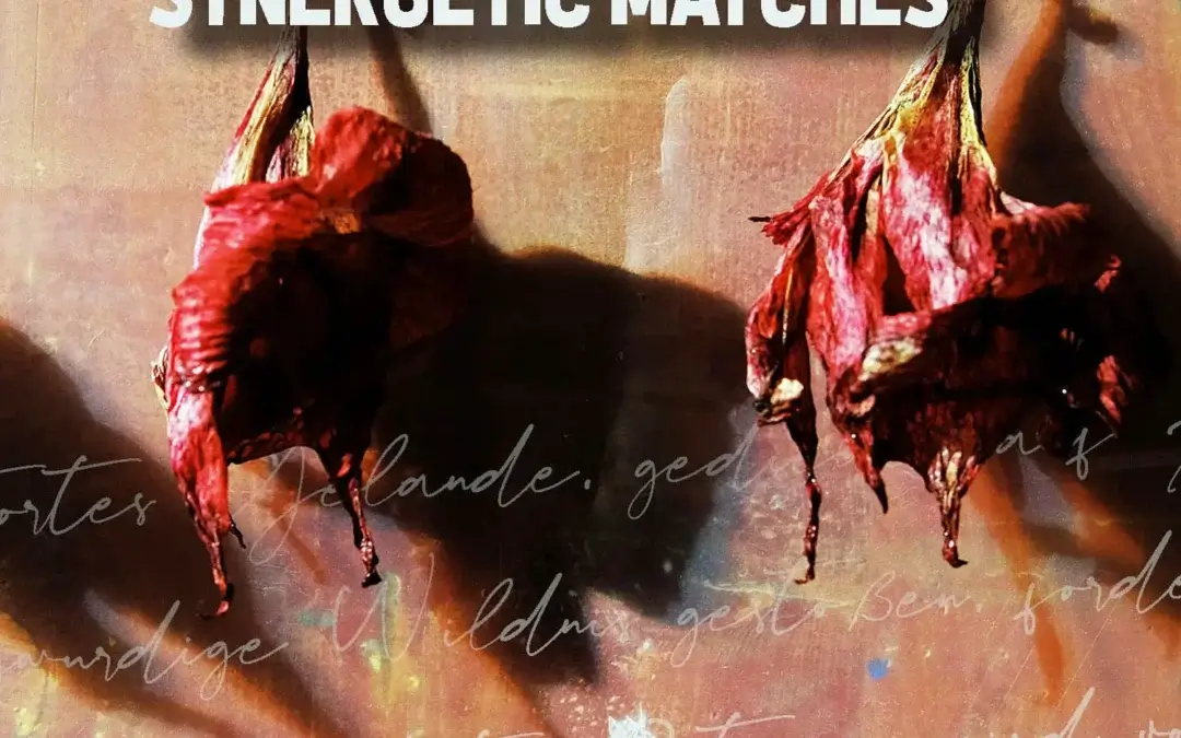 Synergetic Matches