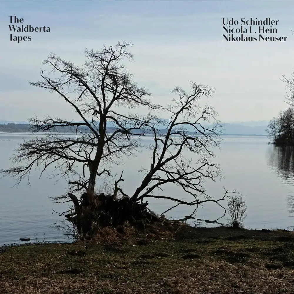 Cover WALDBERTA TAPES