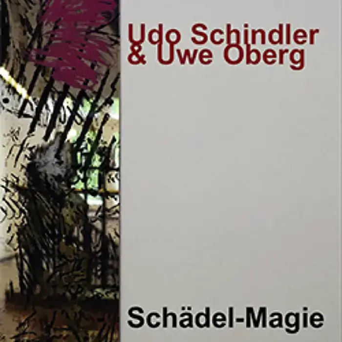 Cover Schädel-Magie