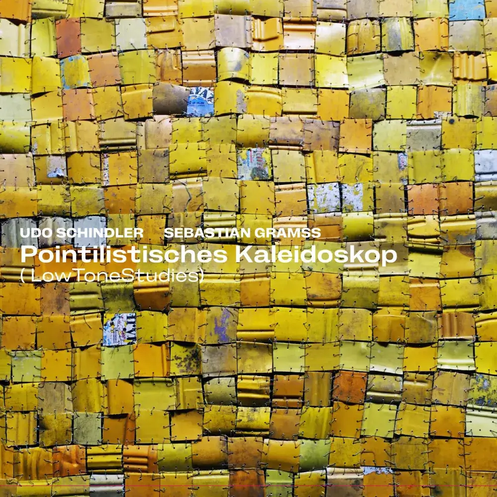 Cover Poinitilistisches Kaleidoskop